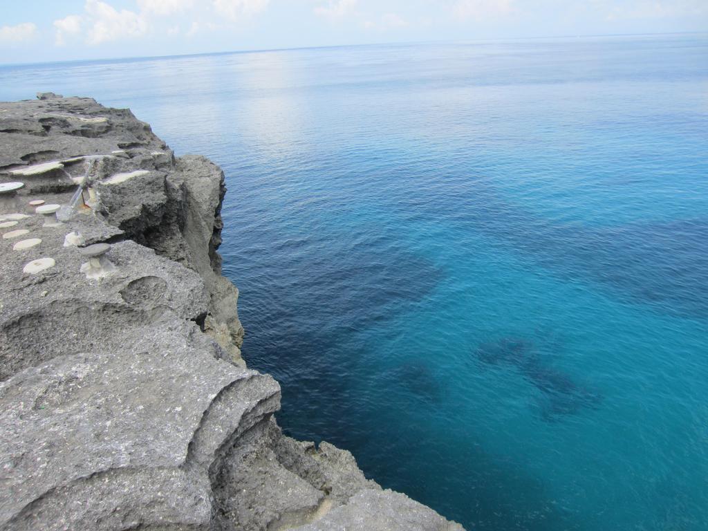 Naradas Mushroom Beach Lembongan Exteriör bild